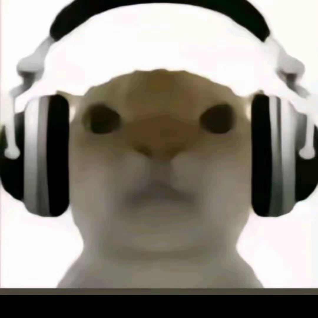 小坤