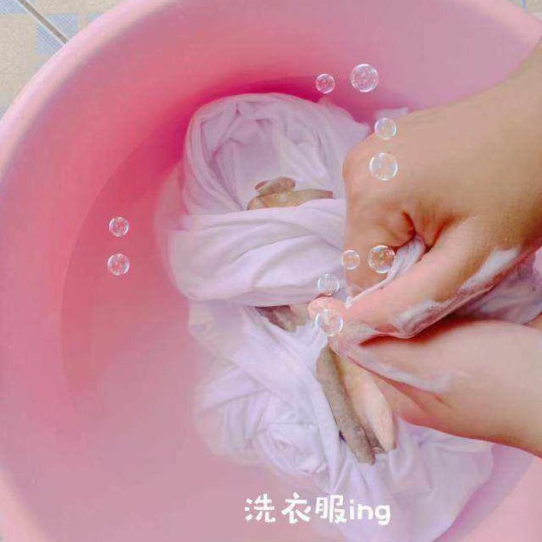 衣物清洁甄选