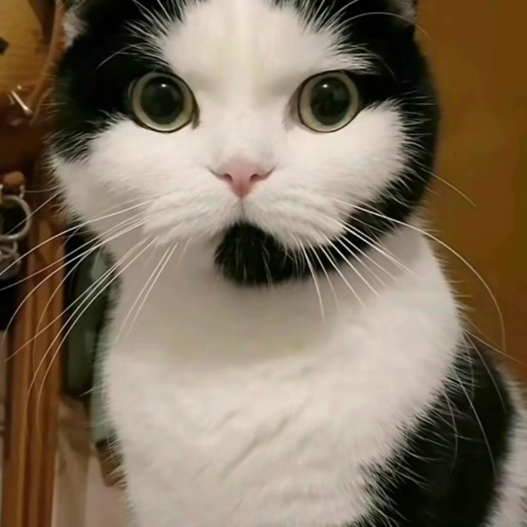 痴人～陈