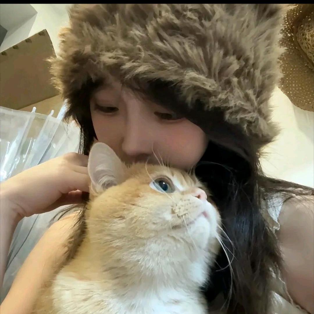 史迪仔仔