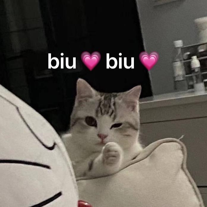 五里店最乖的猫