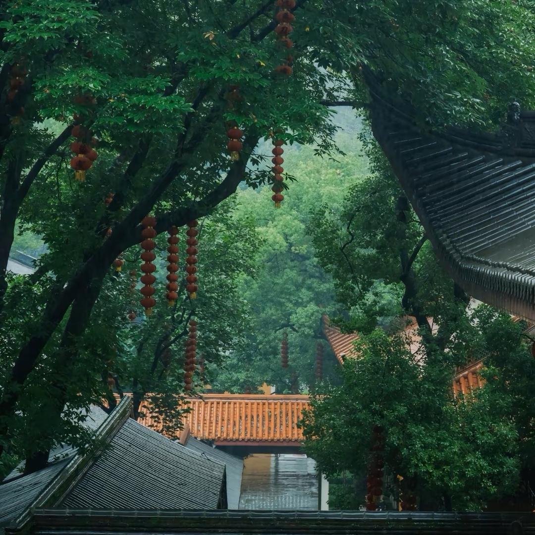 安康接福报