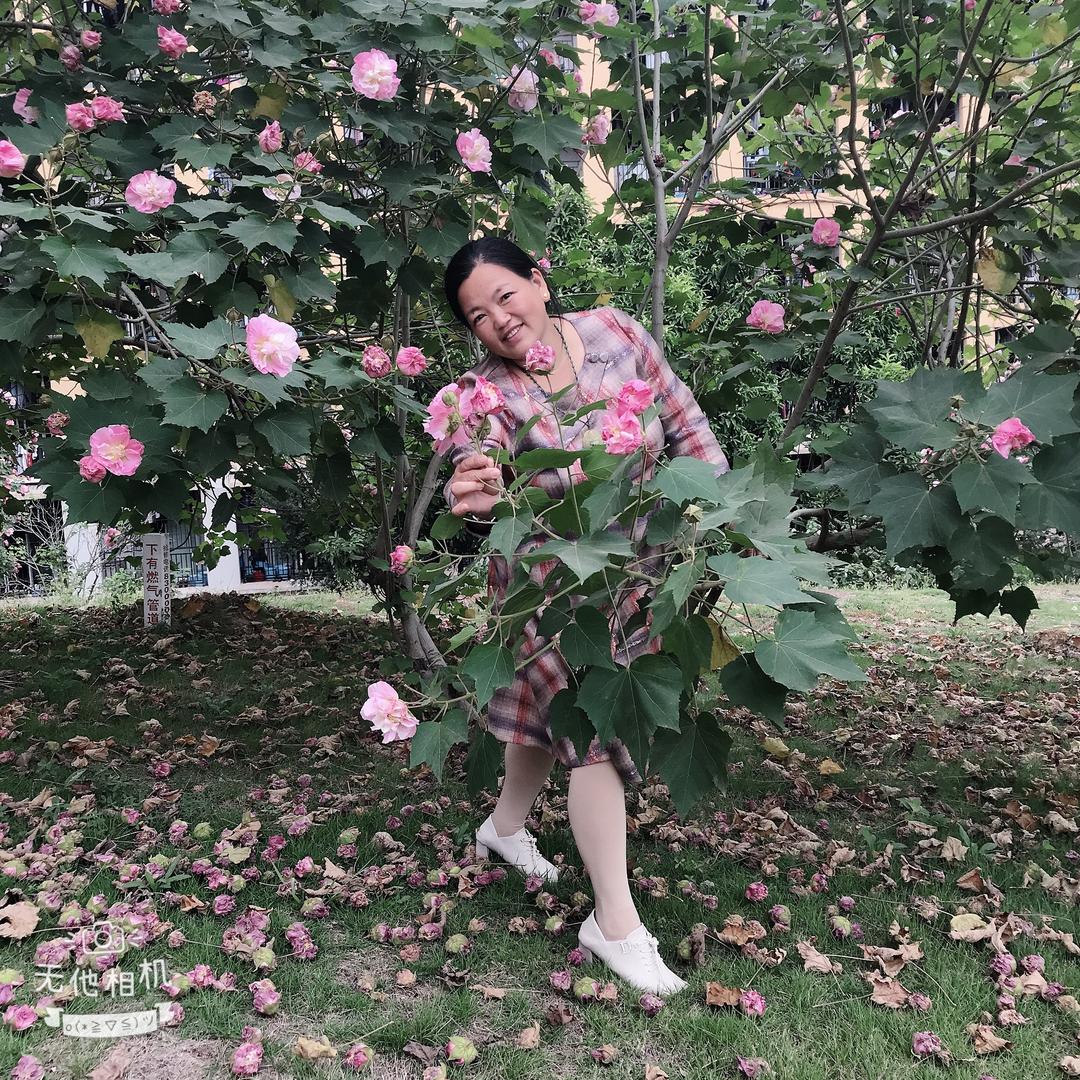 李洪🌷🌷🌷