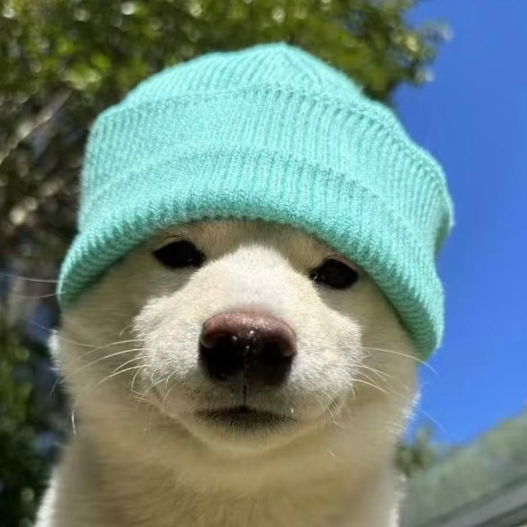 🌈半份蟹堡王秘方