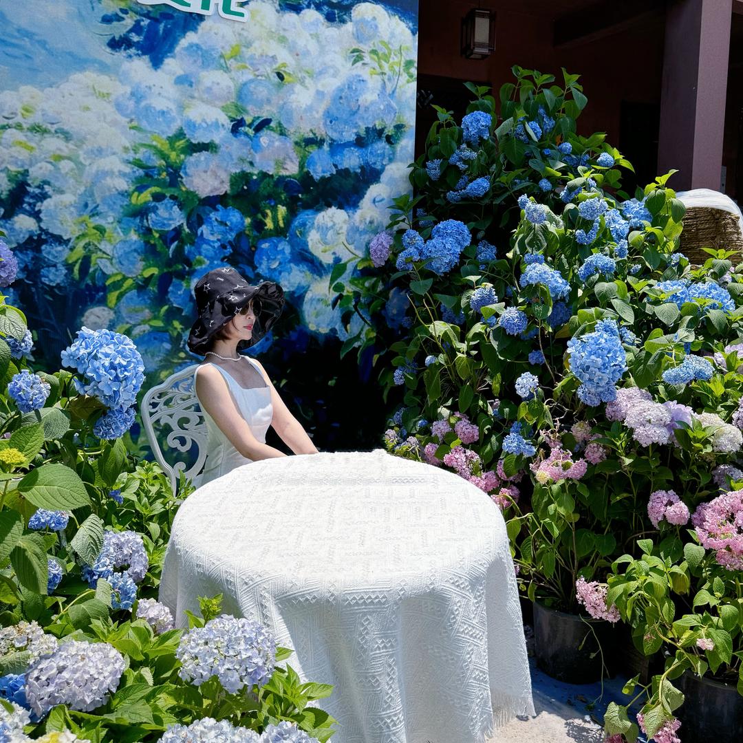 沁霞