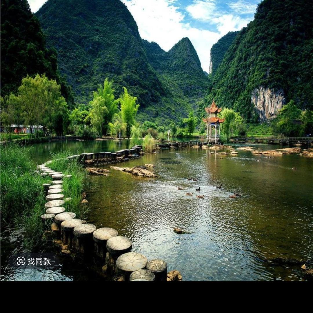 生姜种植基地