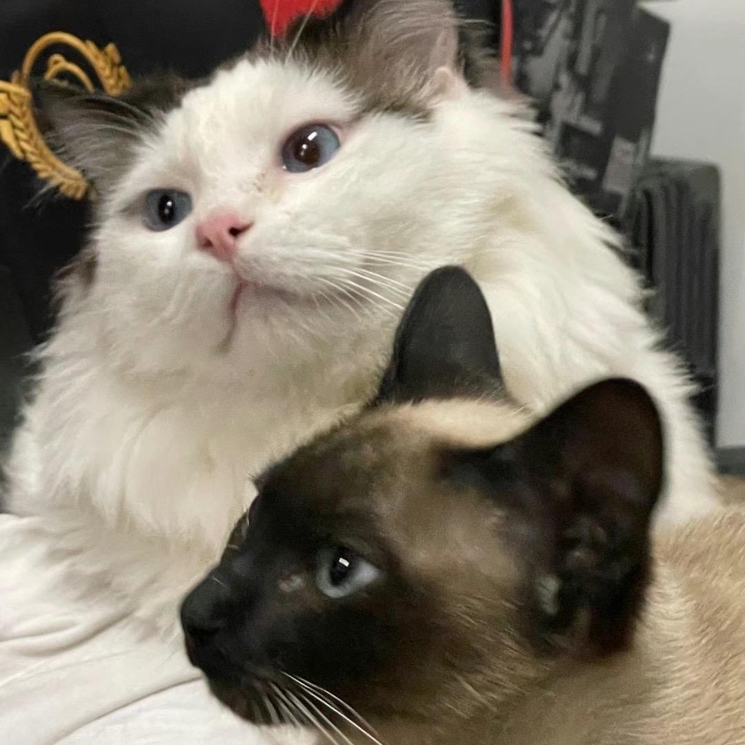 詹詹的快乐生活