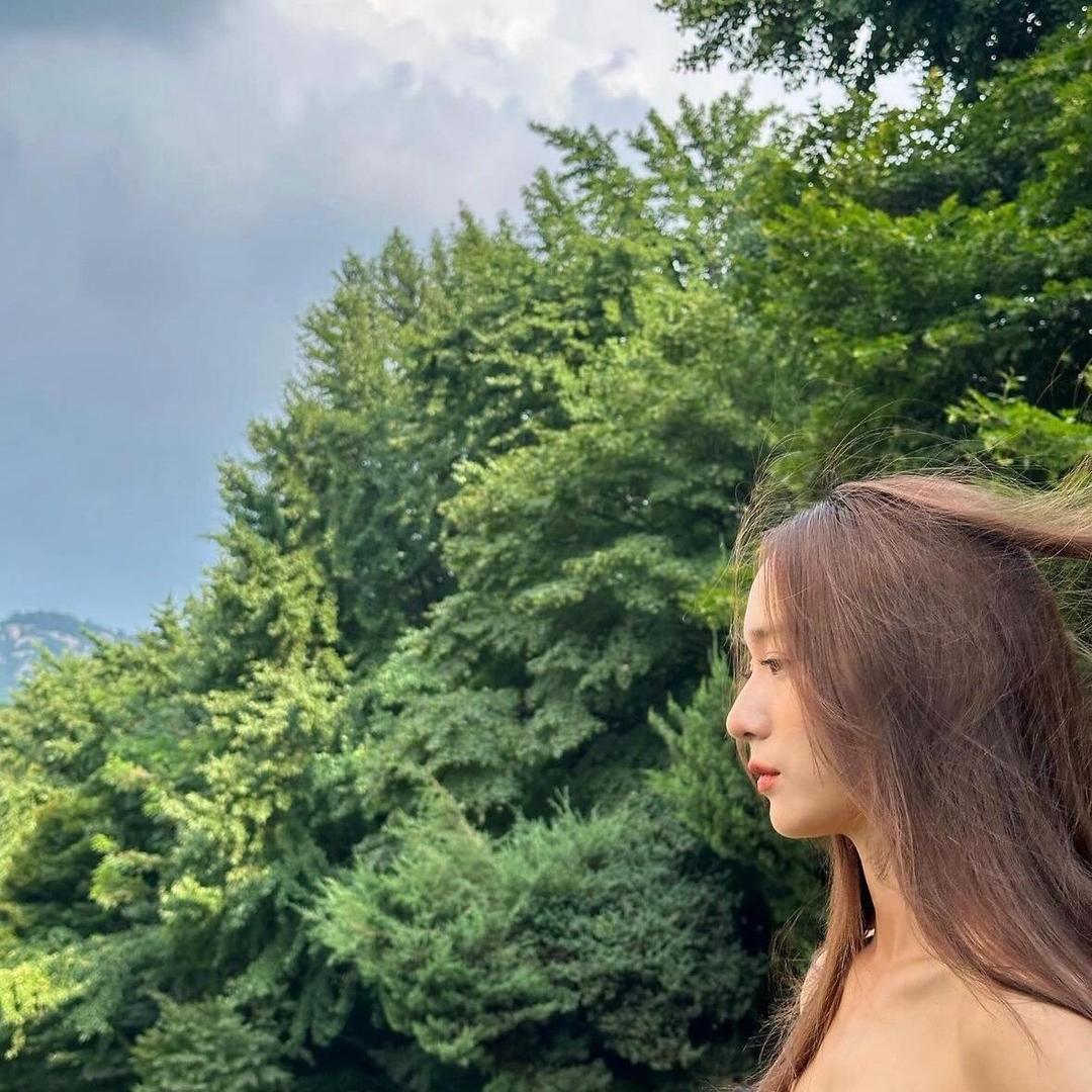 泽芝十一