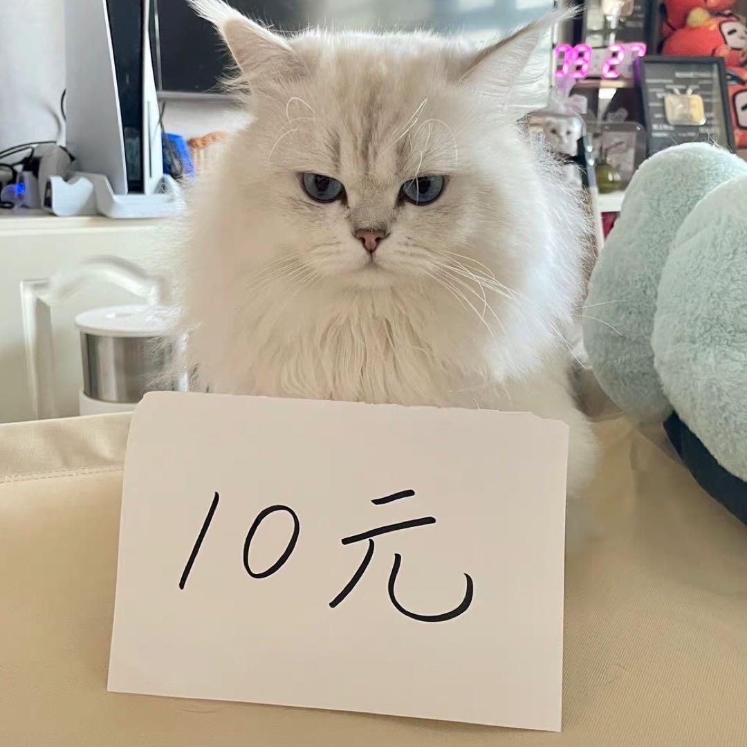 一个找工作的账号