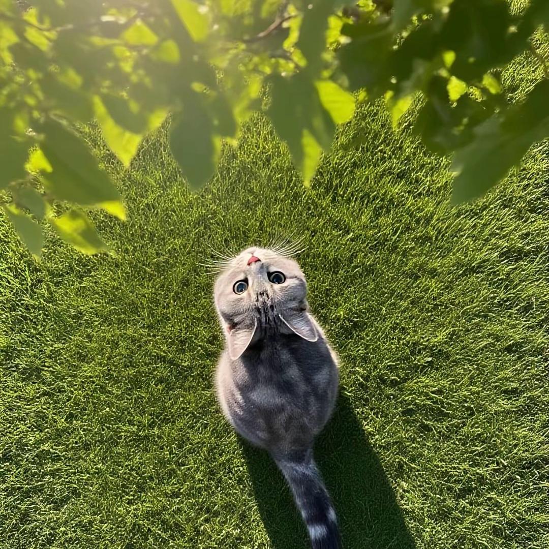OI
