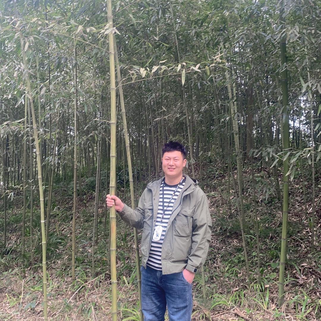 张吉宁