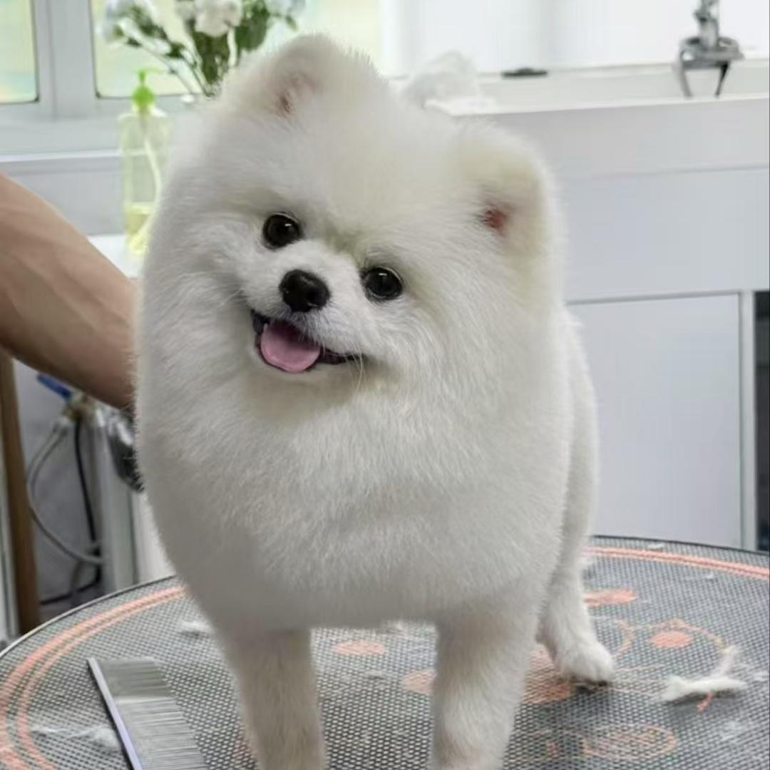 冷暖自知