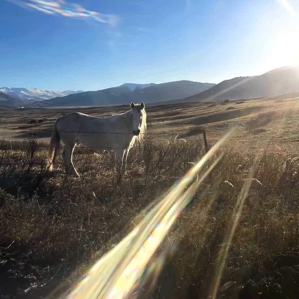 打包还是在这吃