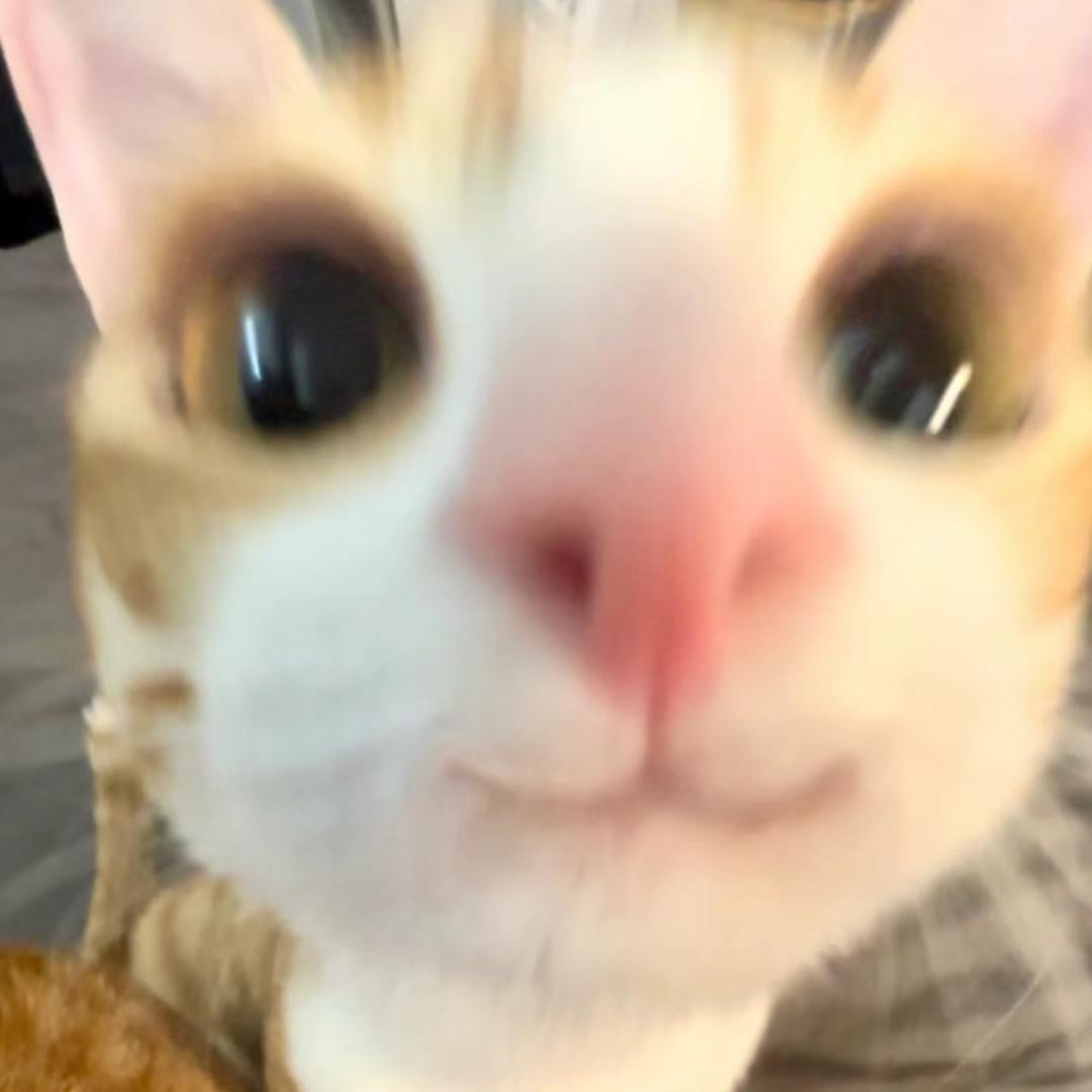 小顺^o^