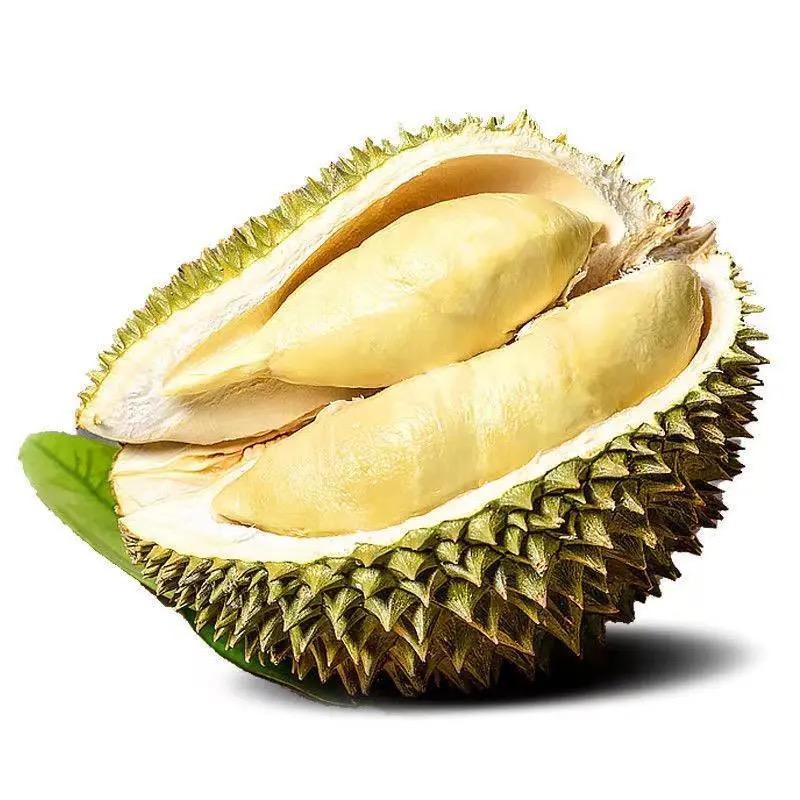 灰色-轨迹