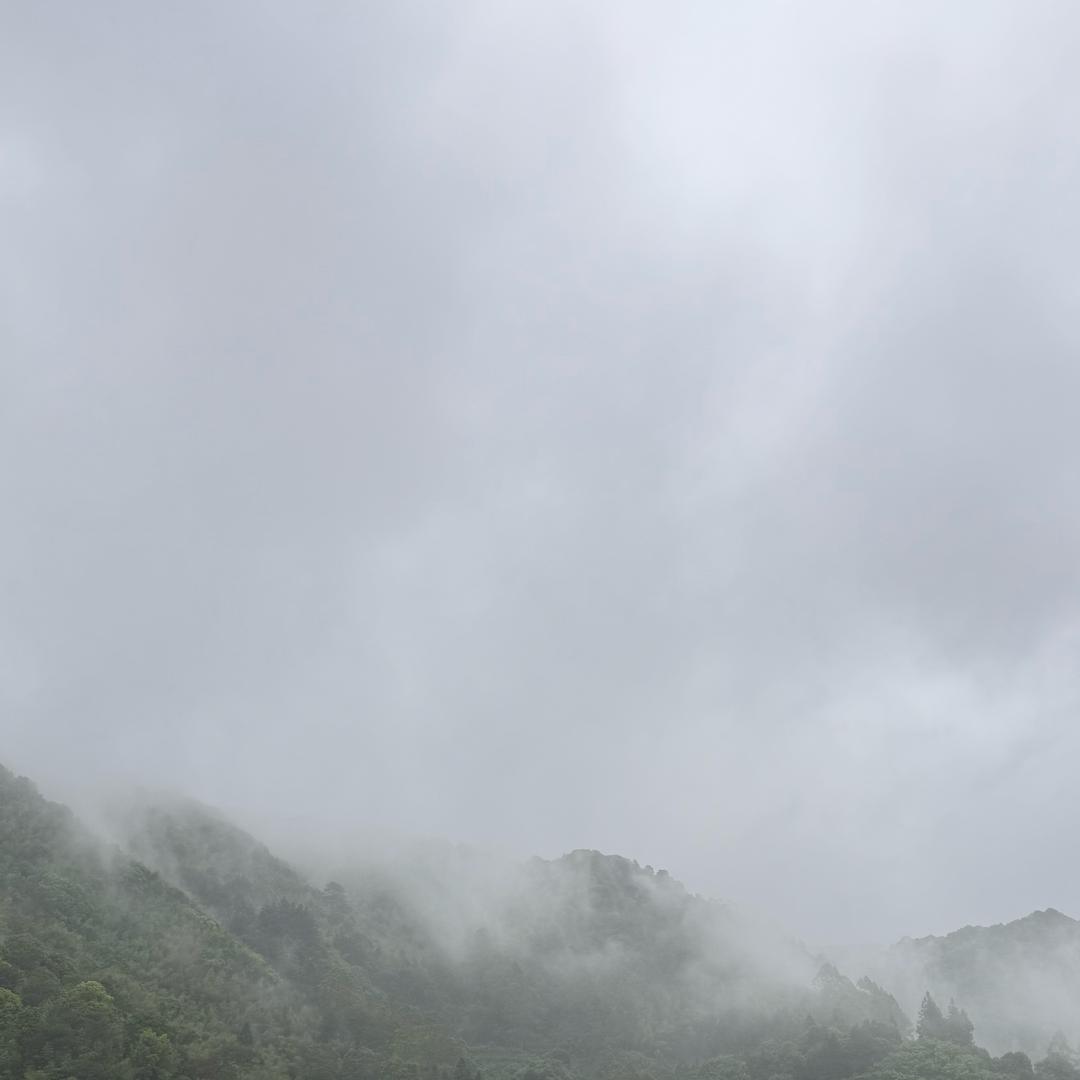 二二吃吃吃