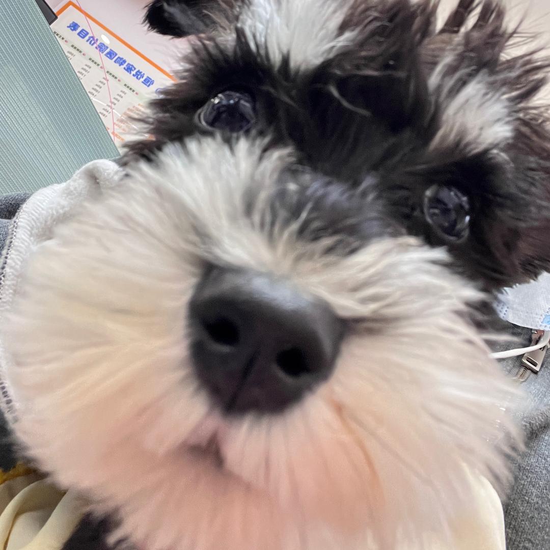 星期日不上发条·