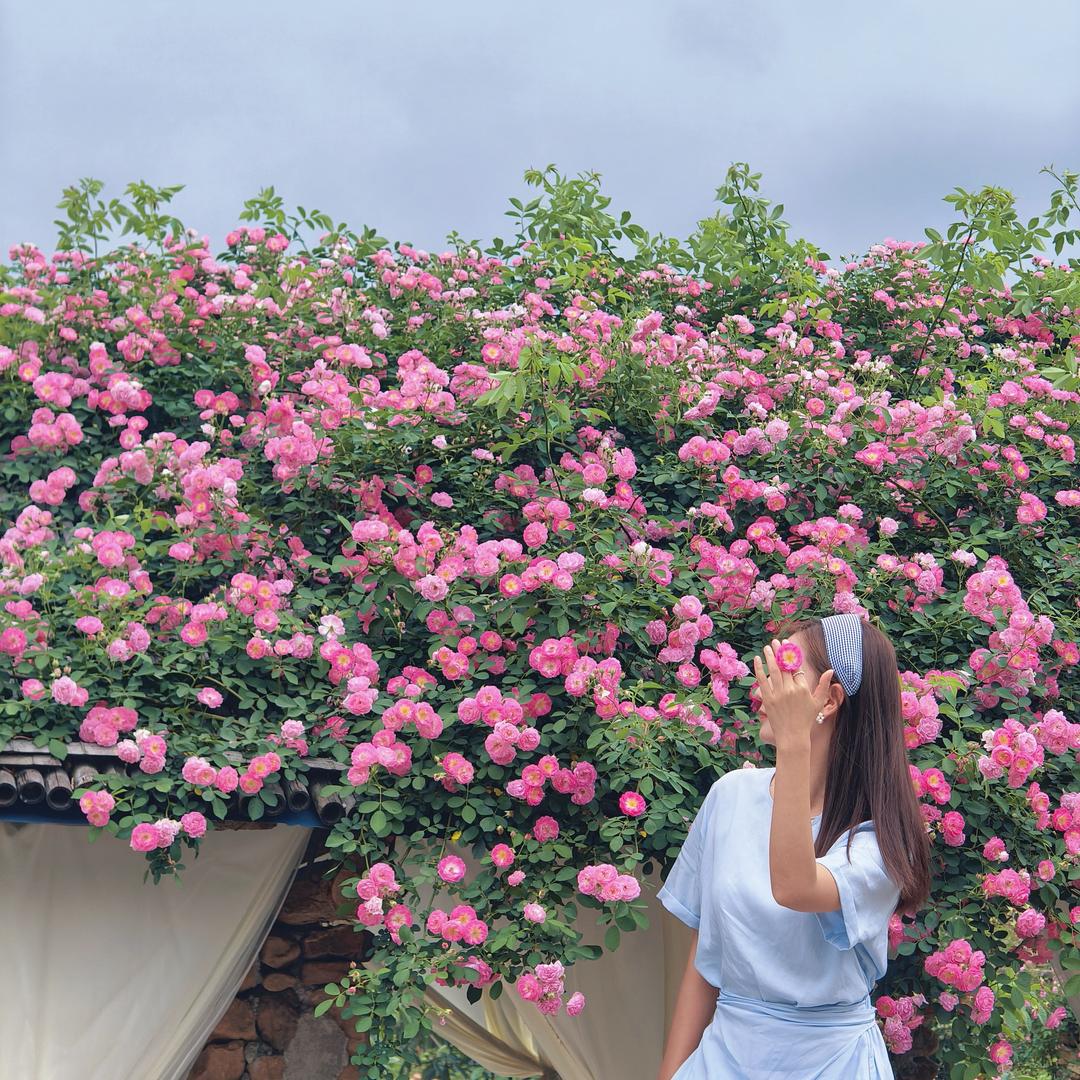 @田田有酒窝。
