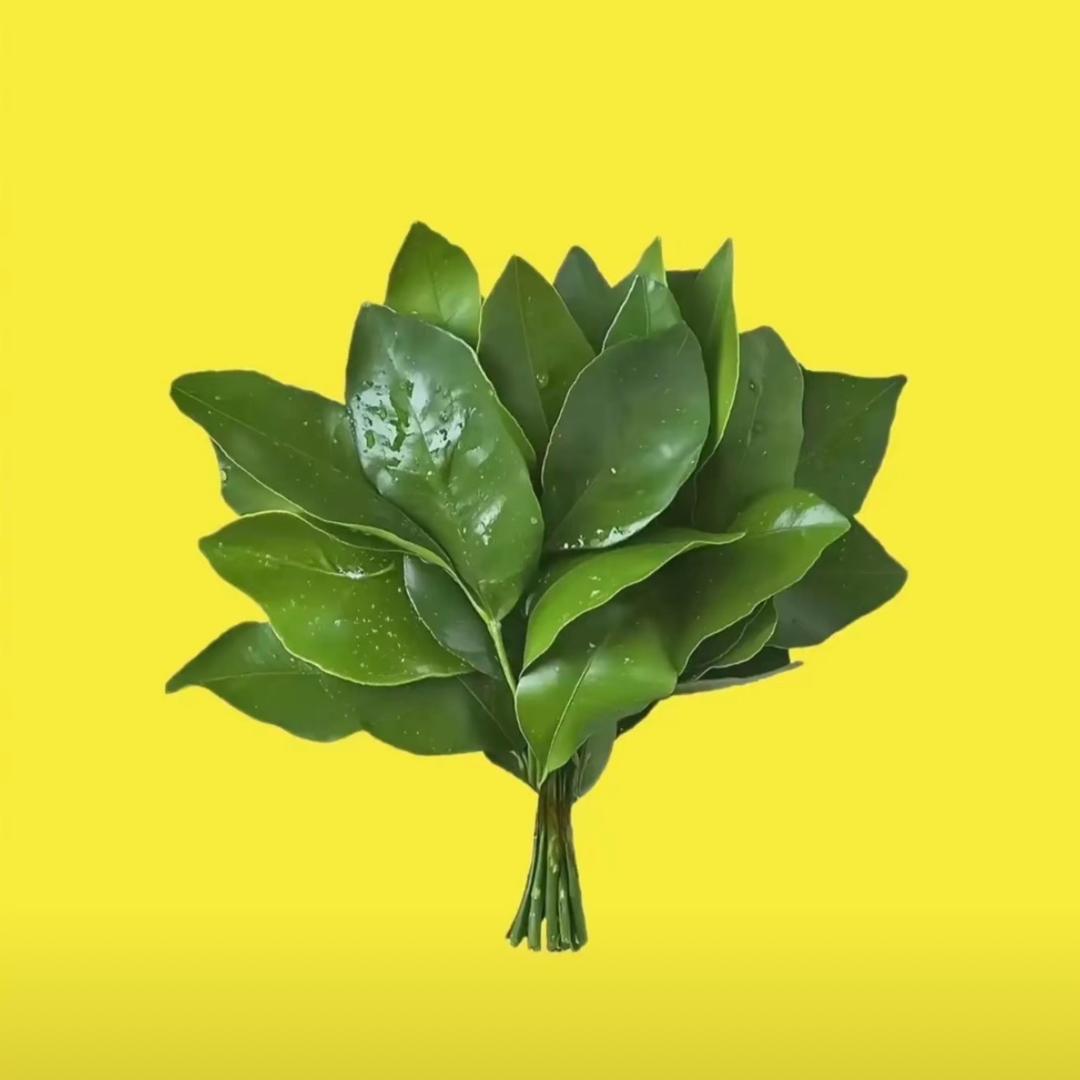 .梅梅子.