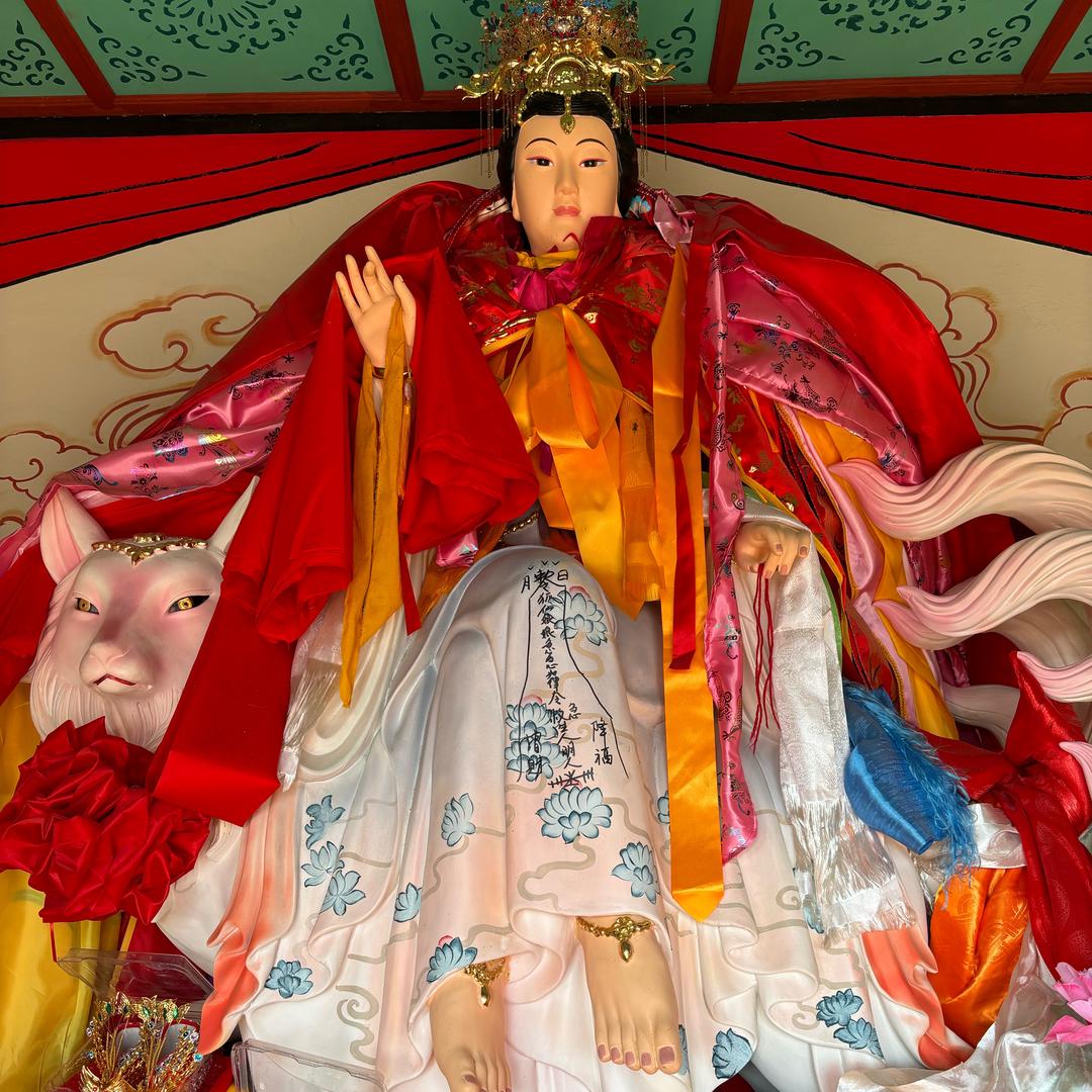 玄音老师