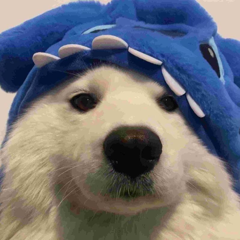 秋刀鱼🪶
