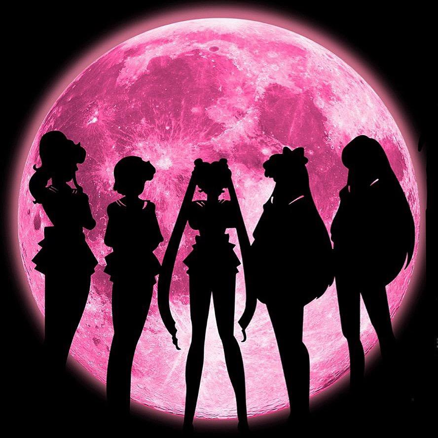 ༺☯︎顺风顺水顺财神， 朝朝暮暮有人疼