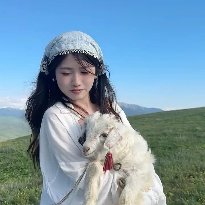 领队沐沐