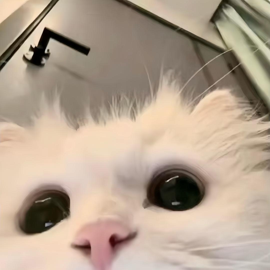 茵