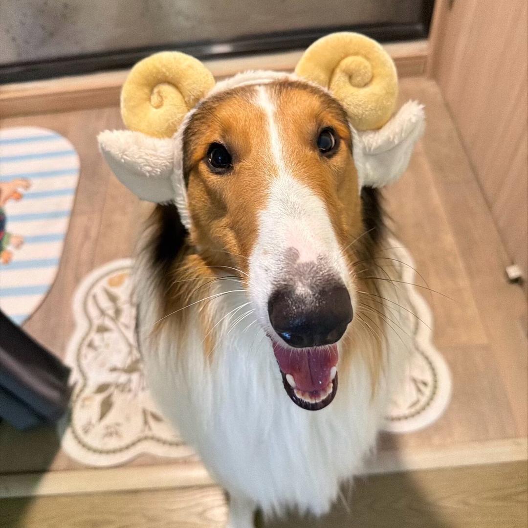 是˗ˋˏ🥔ˎˊ˗泥泥呀🥨