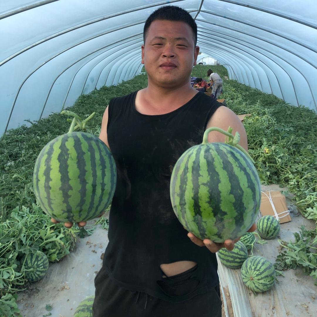 王胖胖！西安雨润水果市场