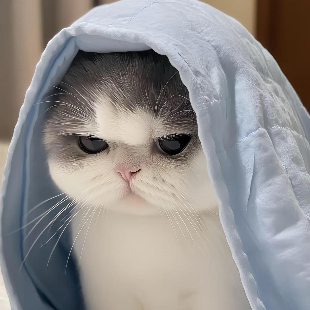 爱听音乐的博主