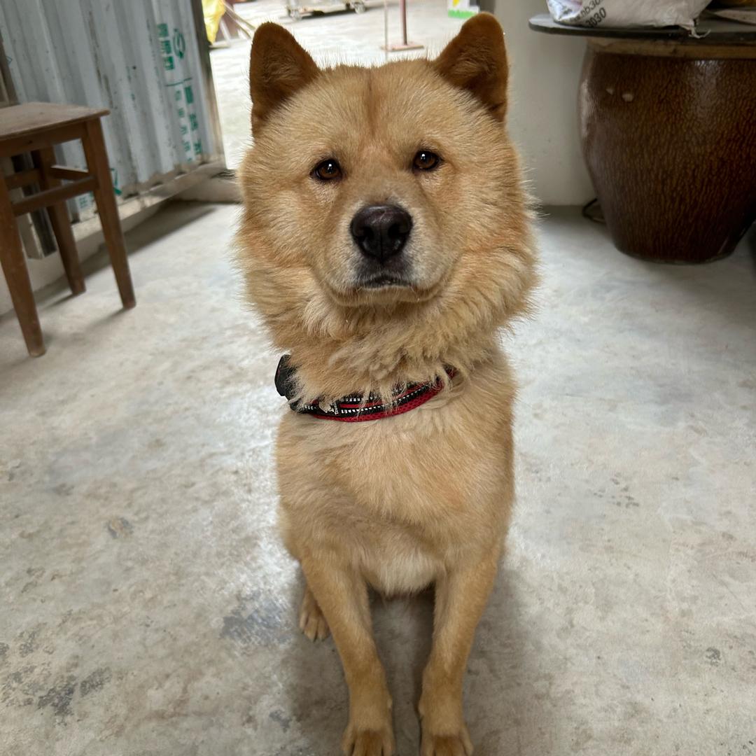 爰其适归
