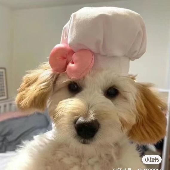 小葵吃点啥
