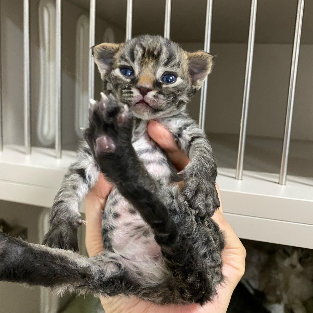 正泰五金昊骏安防科技