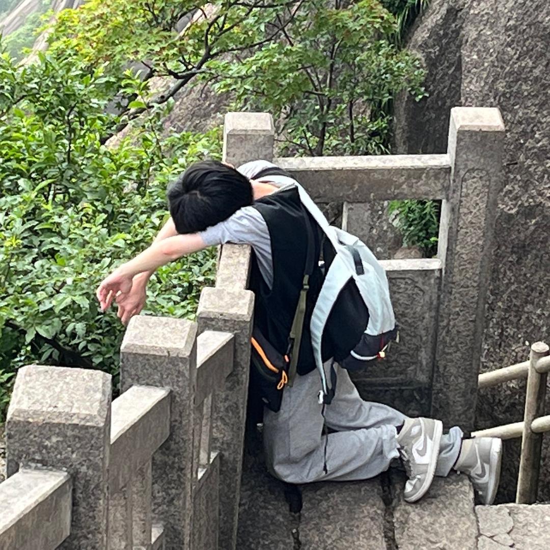 pur黑猫