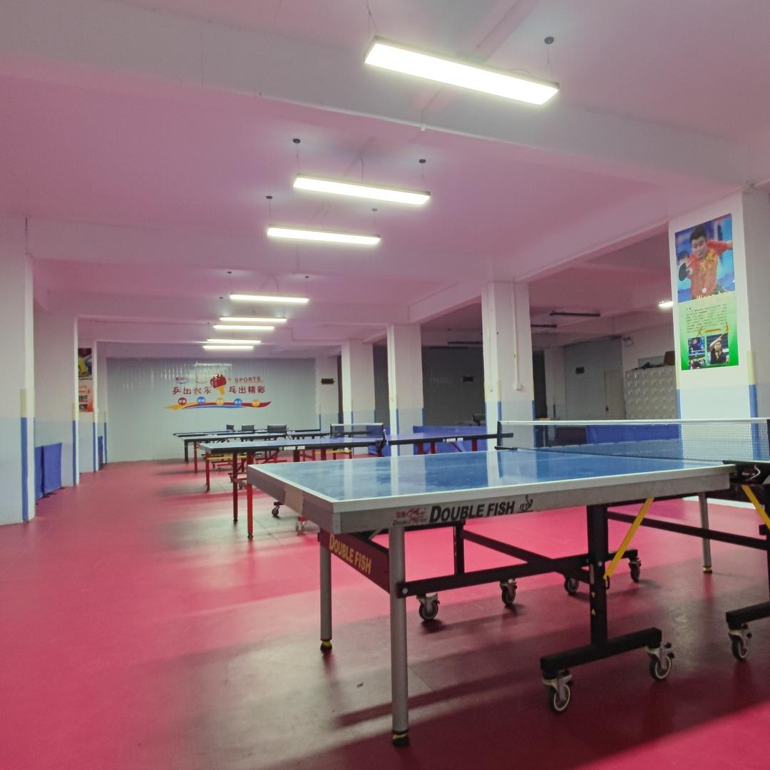洪阳星耀乒乓球培训基地