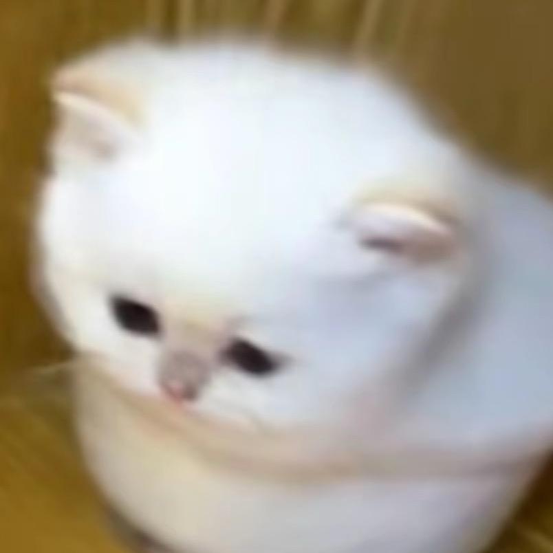 抖音用户