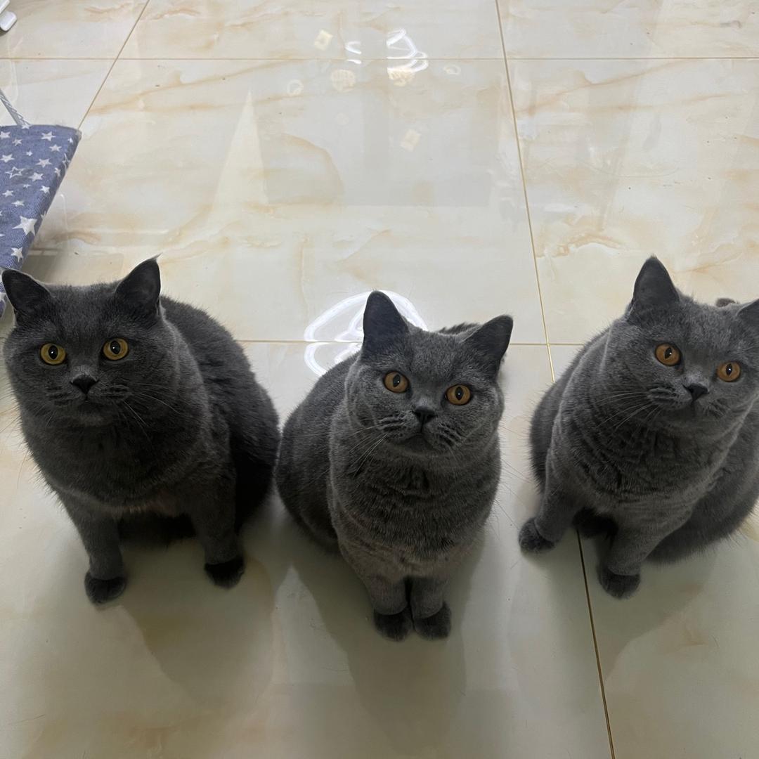 水下看鱼