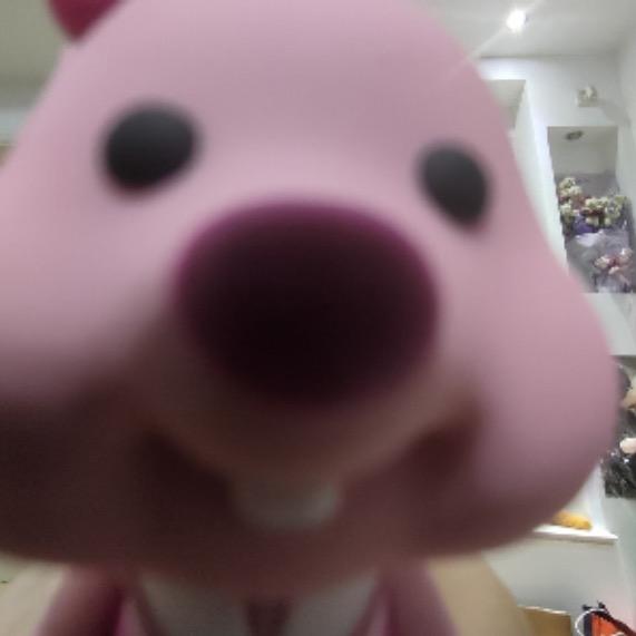 蜡笔在努力🇲🇾📷