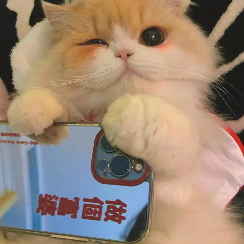 富贵兔兔