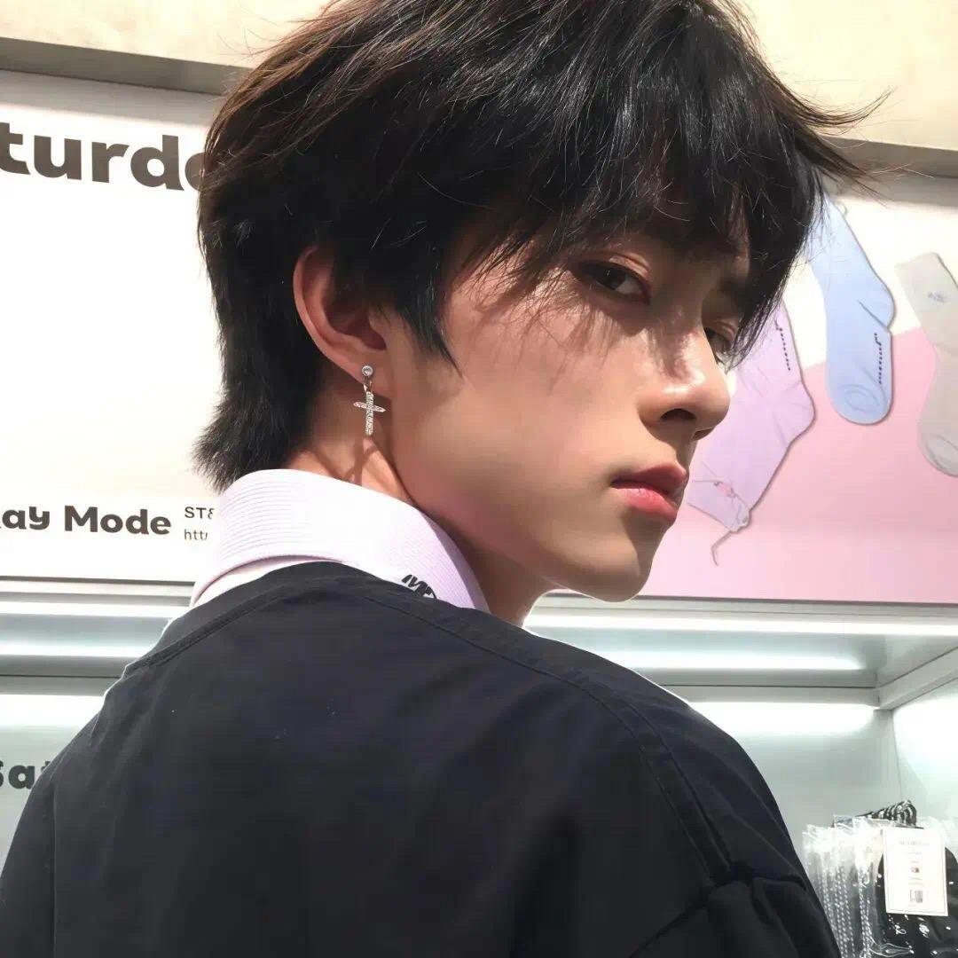 笨笨 （术后康复版）