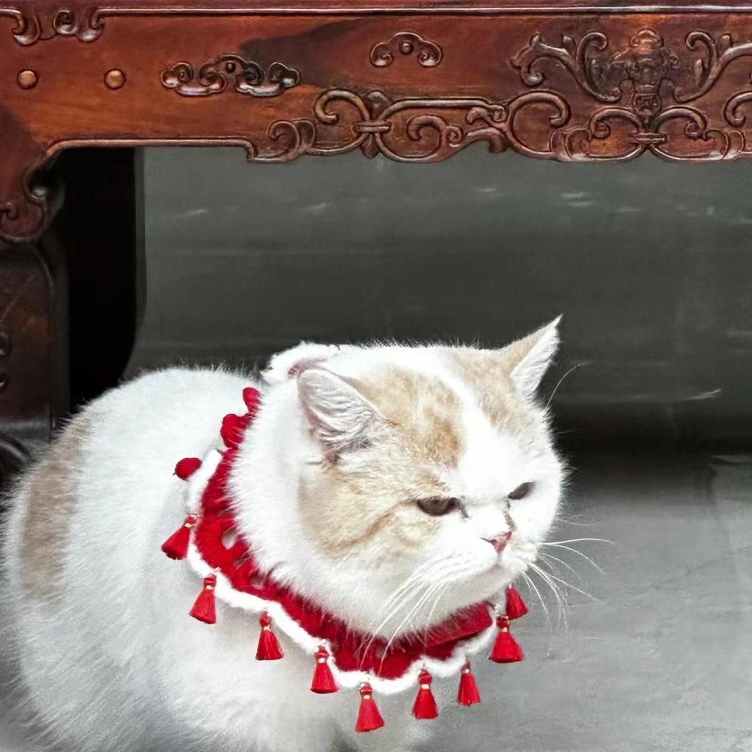 屹远文化
