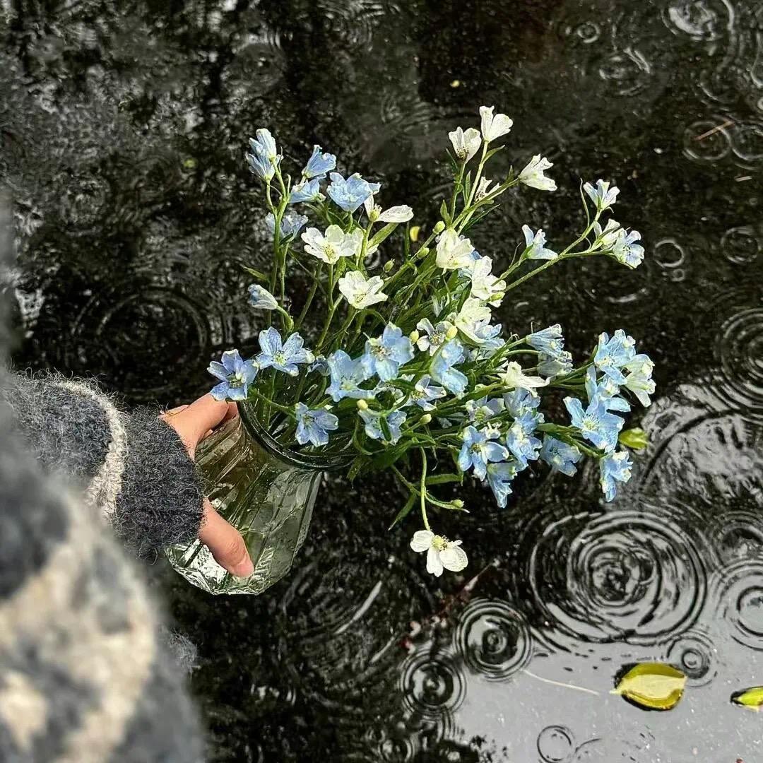 阿修·嘎松旺姆