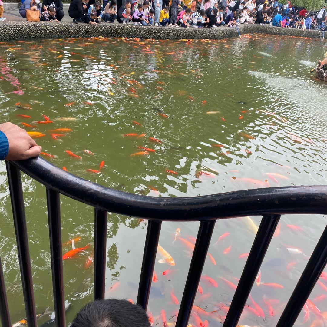 姐╮似懂非懂づ