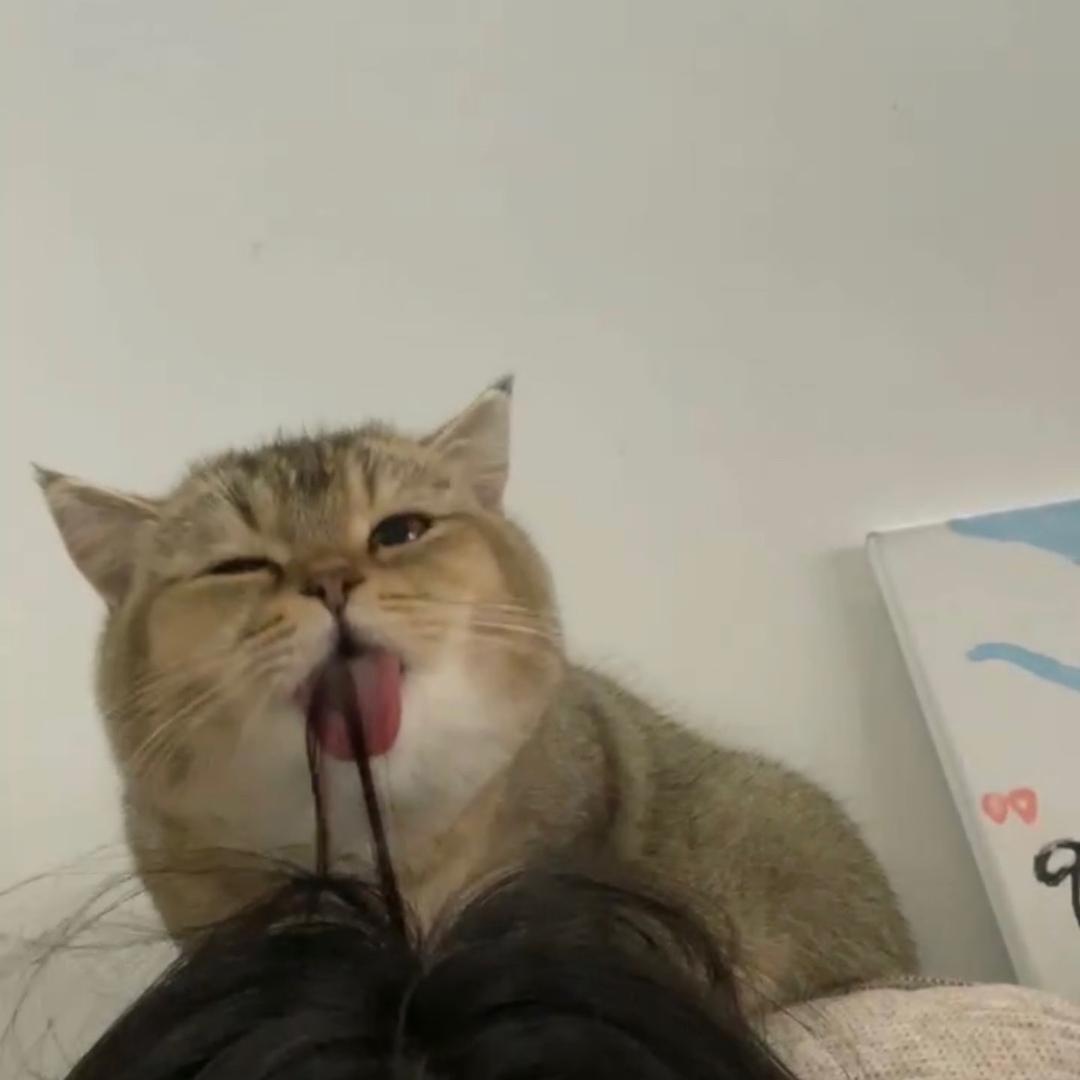 不知名高手