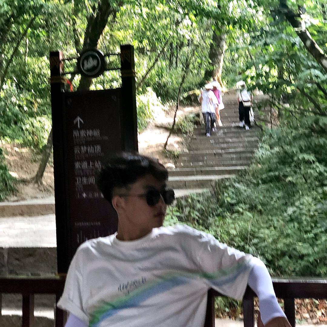 树sir