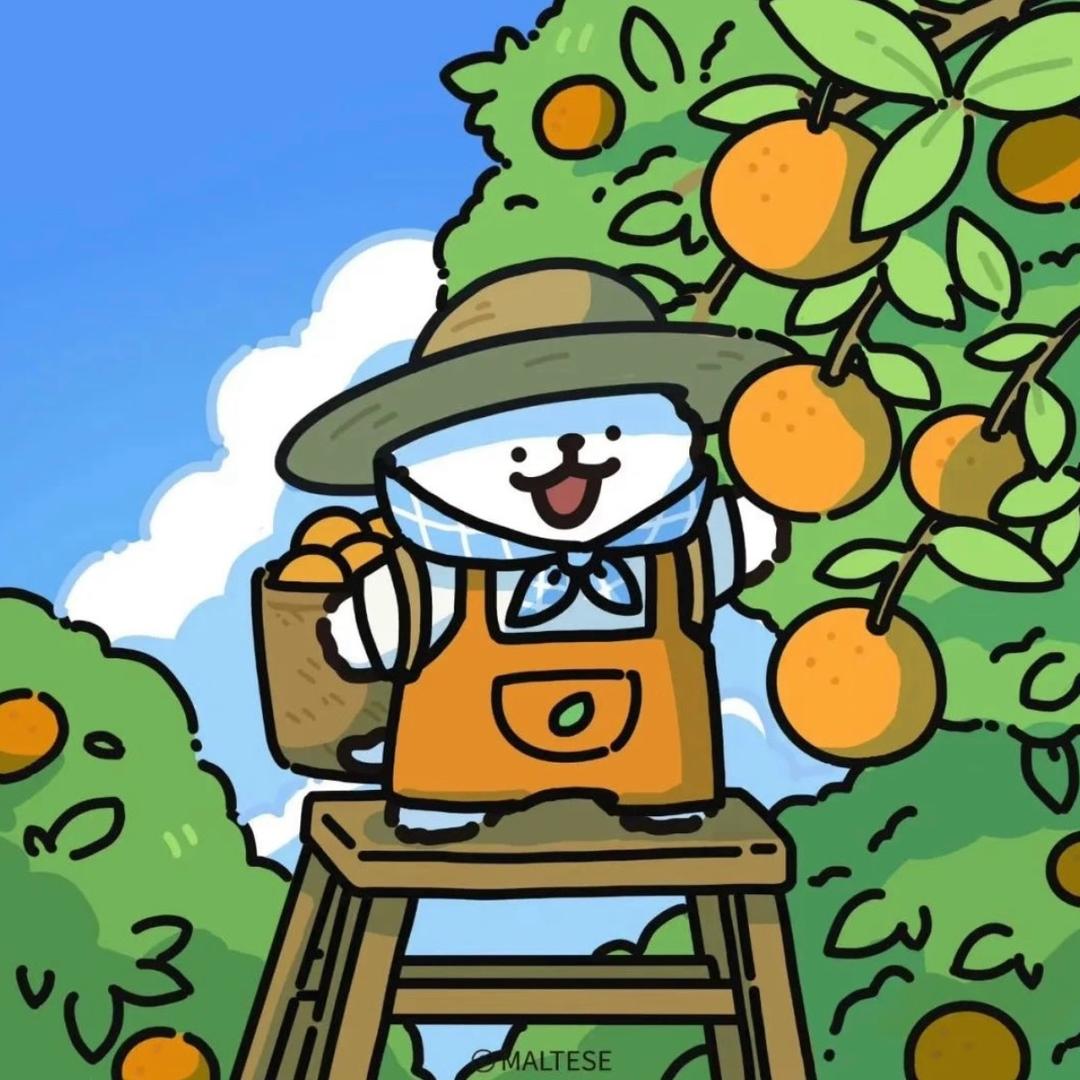 重生之小韩卖水果篇