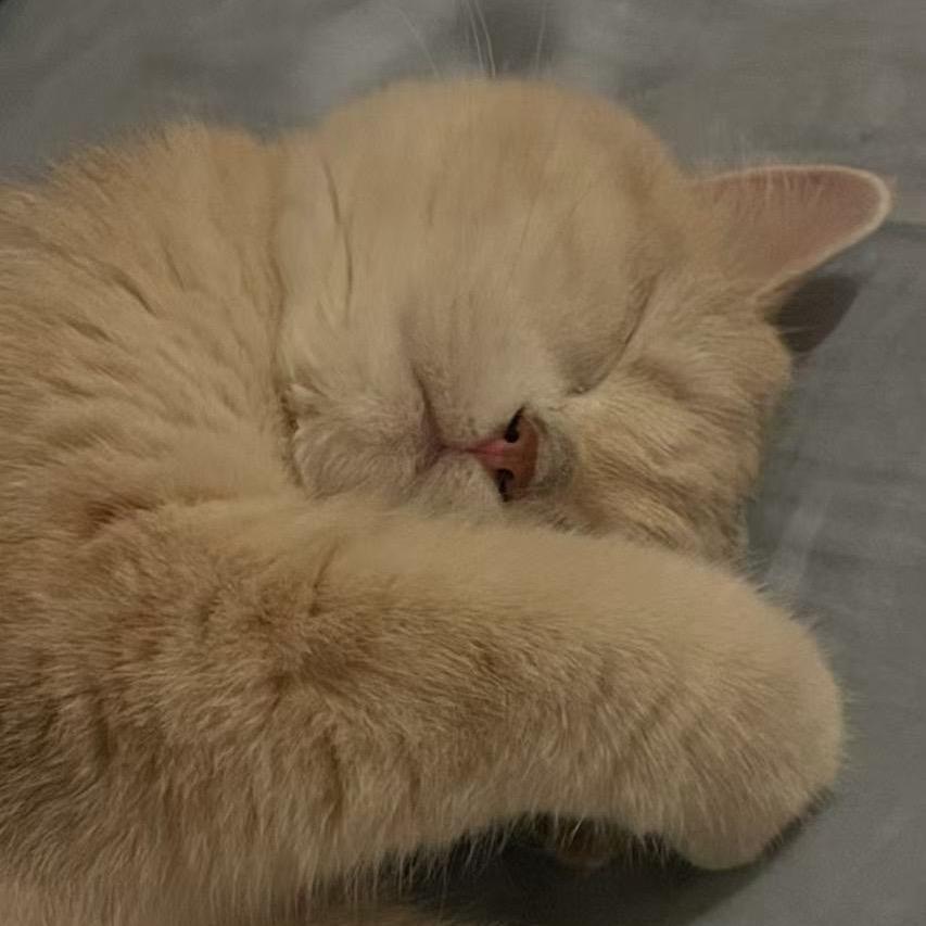 5566