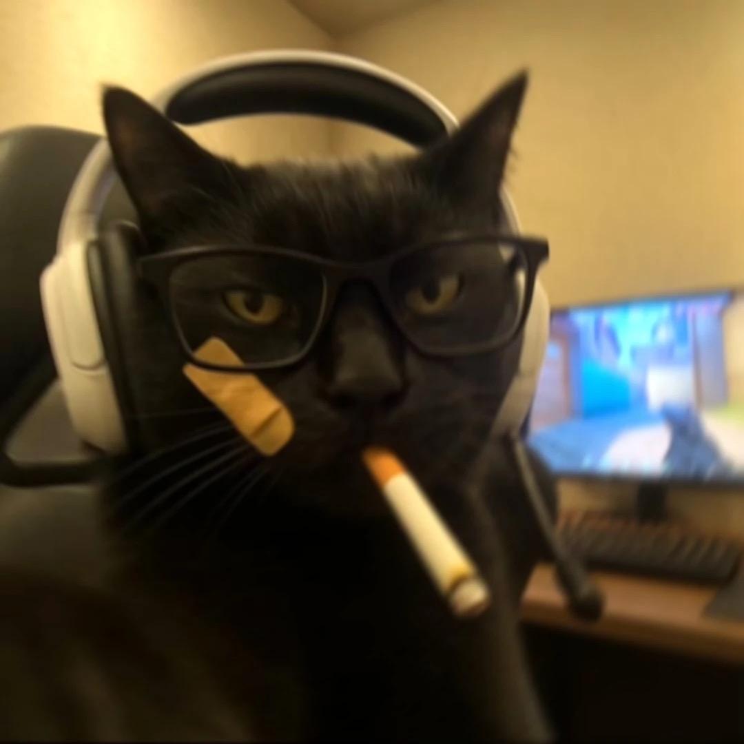 瑾