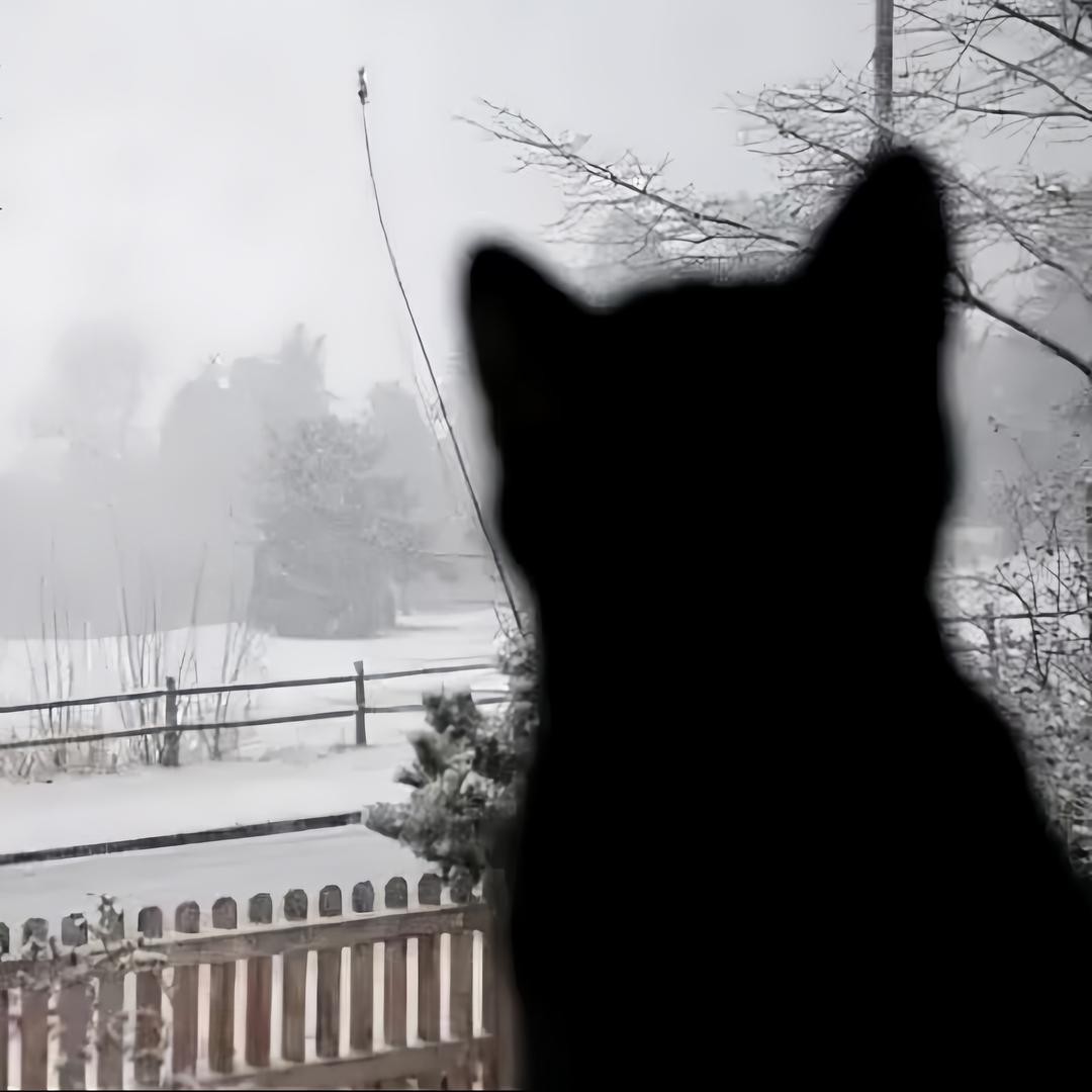 ￴ ￴ ￴￴ ￴ ￴ ￴